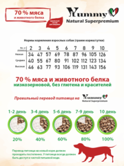 Yummy Linea сухой корм для взрослых собак мелких пород (ягненок) 300 гр