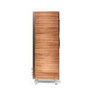 Sonus Faber Olympica Nova II