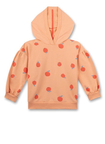 Толстовка Sanetta Kidswear 126369 22085