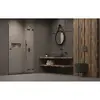 Radaway 10099110-92-01R Essenza Pro Brushed GunMetal DWJ 110 Right