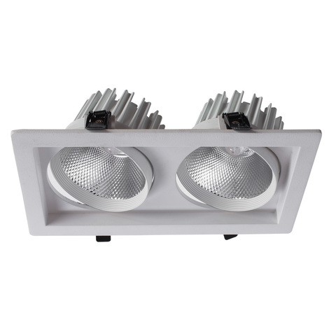 Встраиваемый светильник Arte Lamp Privato A7018PL-2WH