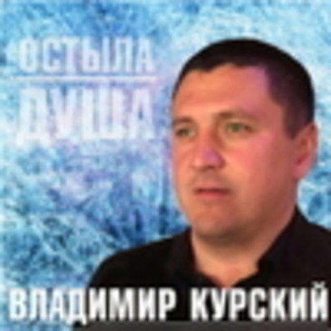 Владимир Курский - 2014 - 2019