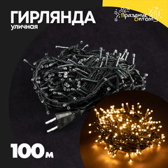 
          гирлянда 100м уличная зеленый провод (желтый)