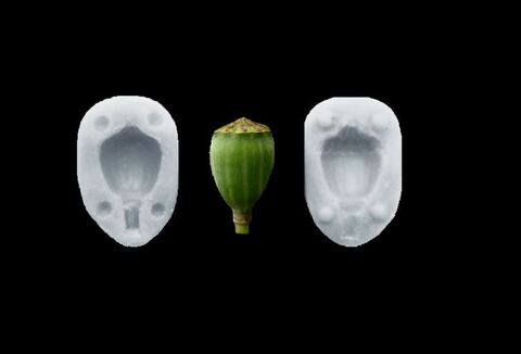 Силиконовый молд 