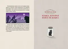 Магазин теней «Лунный свет». Книга 2. Кошка в стеклянной бутылке