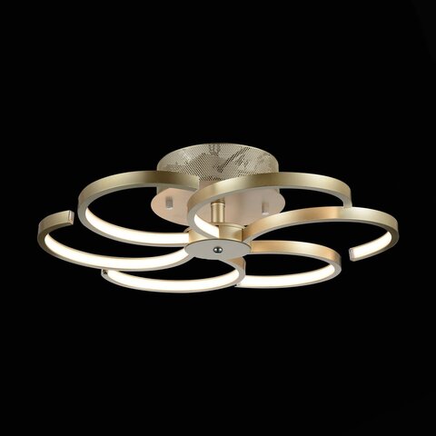 Люстра потолочная ST Luce Riccioli SL906.203.06
