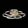 Люстра потолочная ST Luce Riccioli SL906.203.06