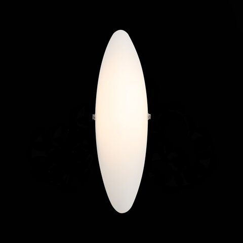 Светильник настенный ST Luce Snello SL508.511.01