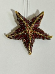 Астерия (брошь  из серебра)