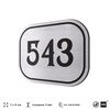 Номерок на дверь квартиры 543, для кабинета, офиса, шильдик 9 х 7 см, серебристый, Айдентика Технолоджи