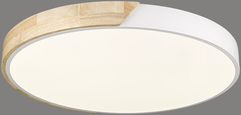 Светильник потолочный Velante LED 445-047-01