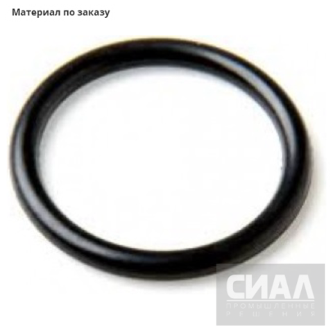 Кольцо уплотнительное круглого сечения 024-027-19