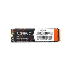 SSD TESLA 256Гб, M.2 2280, NVMe, Bulk, TLC, PCIe3.0, Чтение:3100мб/с, Запись:2500мб/с (SSDTSLA-256GM2)