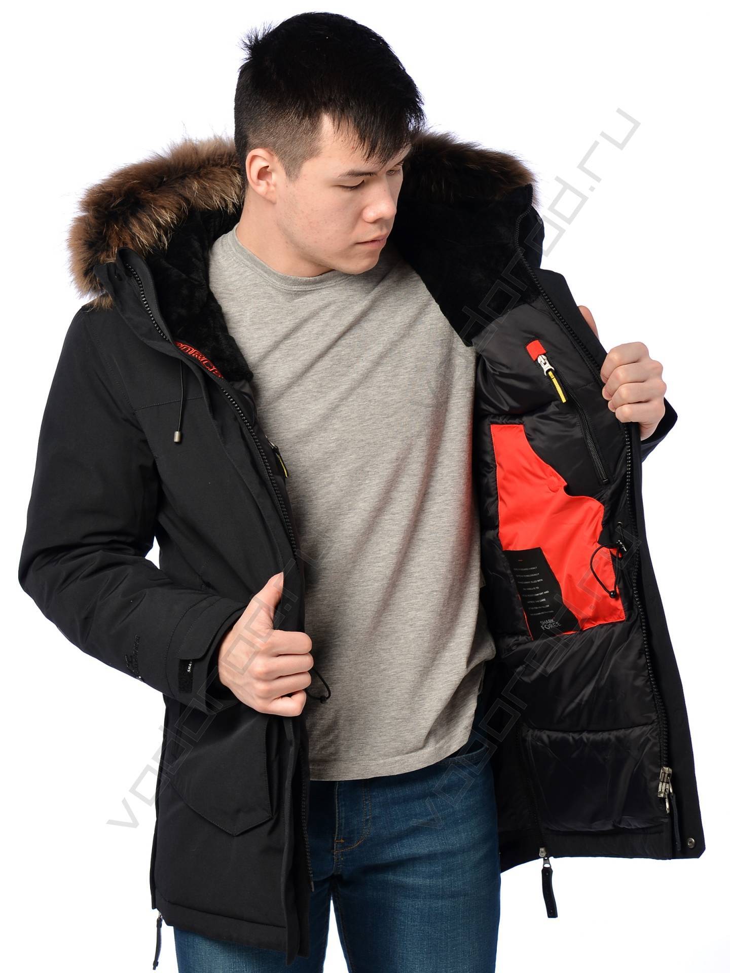Куртка зимняя SHARK FORCE 22110 (черная)