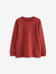 Лонгслив для мальчика Next 681-721, Кирпичный
