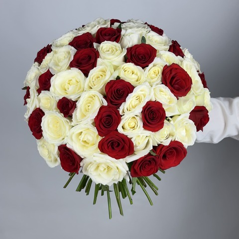 Букет 75 красно-белых роз Россия 40 см