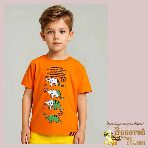 Футболка детская м (2-5) 260109-Y2137