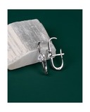 Серьги Голос