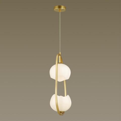 Подвесной светильник Odeon Light Exclusive Waterlily 4873/2
