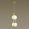 Подвесной светильник Odeon Light Exclusive Waterlily 4873/2