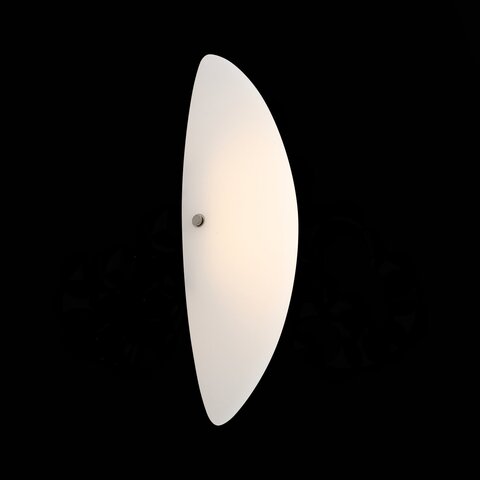 Светильник настенный ST Luce Snello SL508.511.01