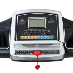 Электрическая беговая дорожка Proxima Rossi