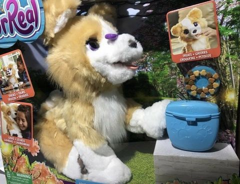 FurReal интерактивный щенки от Hasbro