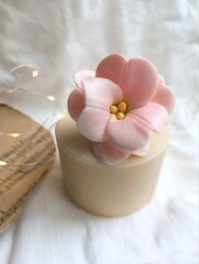 Силиконовая форма 