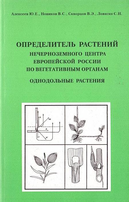 Пример определителя растений