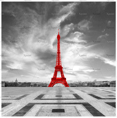 Микровелюр Xpoint / Икспоинт 0021.01 Париж башня
