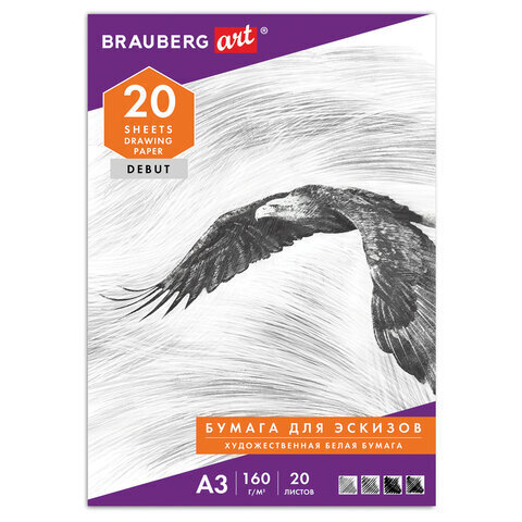 Папка д/рисования А3 20л. (BRAUBERG) вн.блок 160г/м2 125228