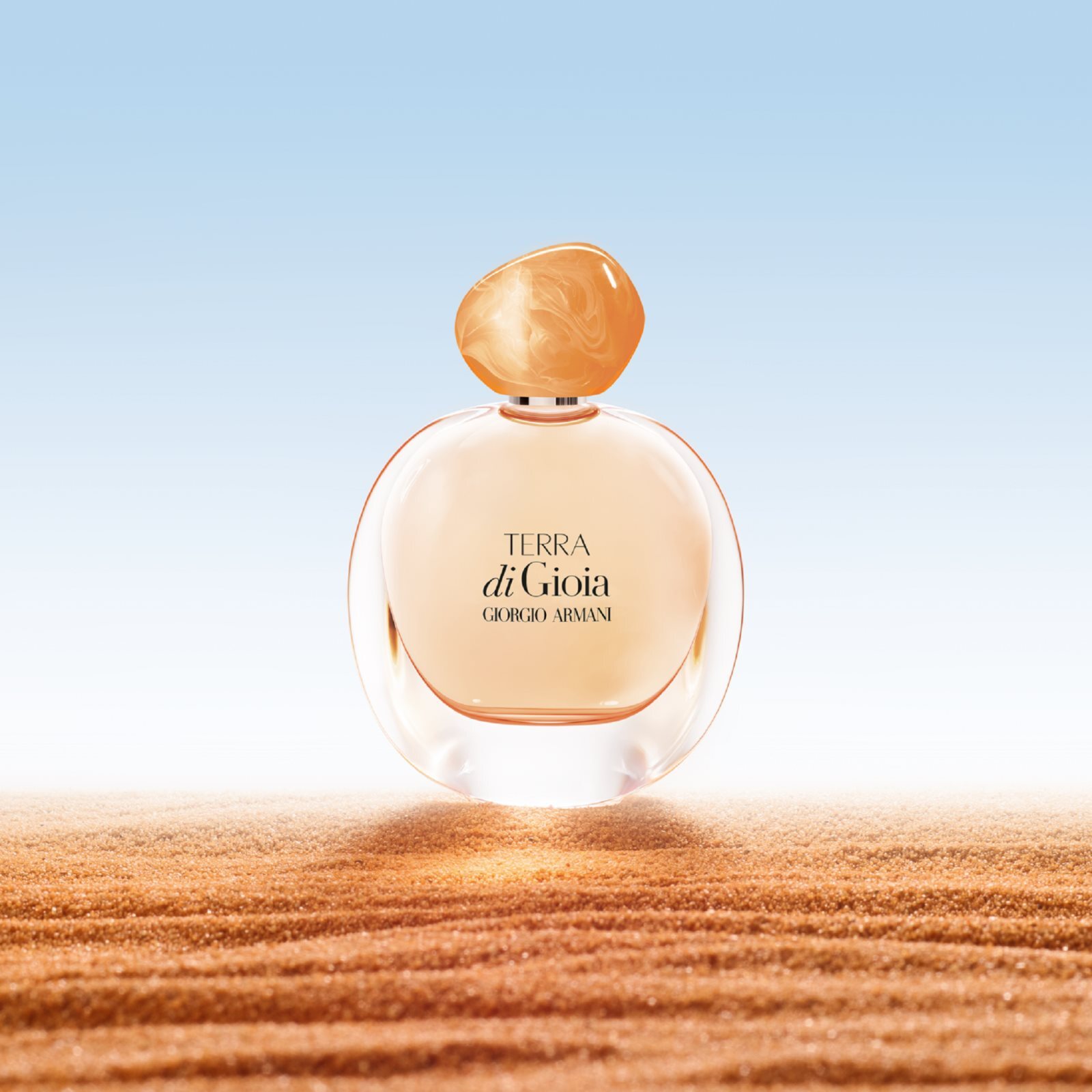 Di gioia armani sales