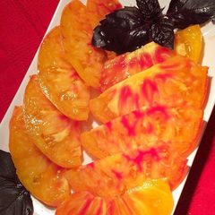 Семена Томат Медовый салют, ЗГ