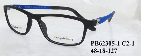 PB62305