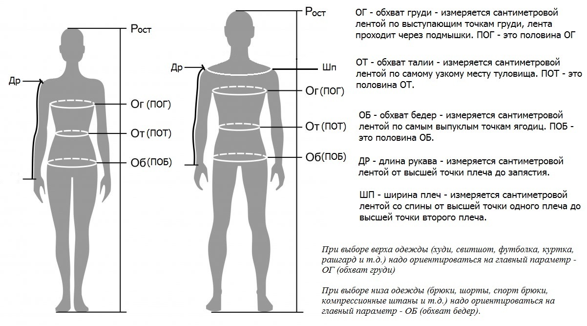 Окружности тела. Обхват груди и плеч. Обхват плеча как измерить. Обхват туловища. Обхват туловища как измерить.