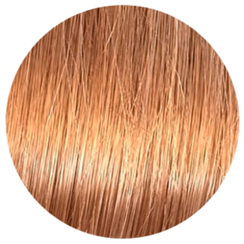 Wella Koleston Rich Naturals 8/3 (Светлый блонд золотистый Крем-карамель) - Стойкая краска для волос
