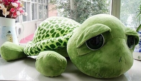Turtle 20