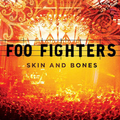 Foo Fighters / Skin And Bones (2LP)
