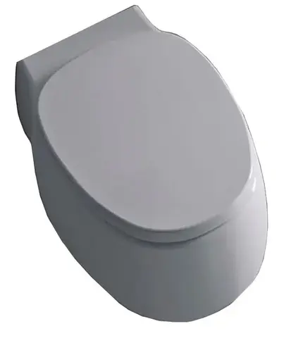 Agape Pear 2 ACER0897W RZG унитаз 525х380х255 мм, подвесной, в комплекте с крышкой, механизм плавного закрывания, белый блестящий/темно- серый