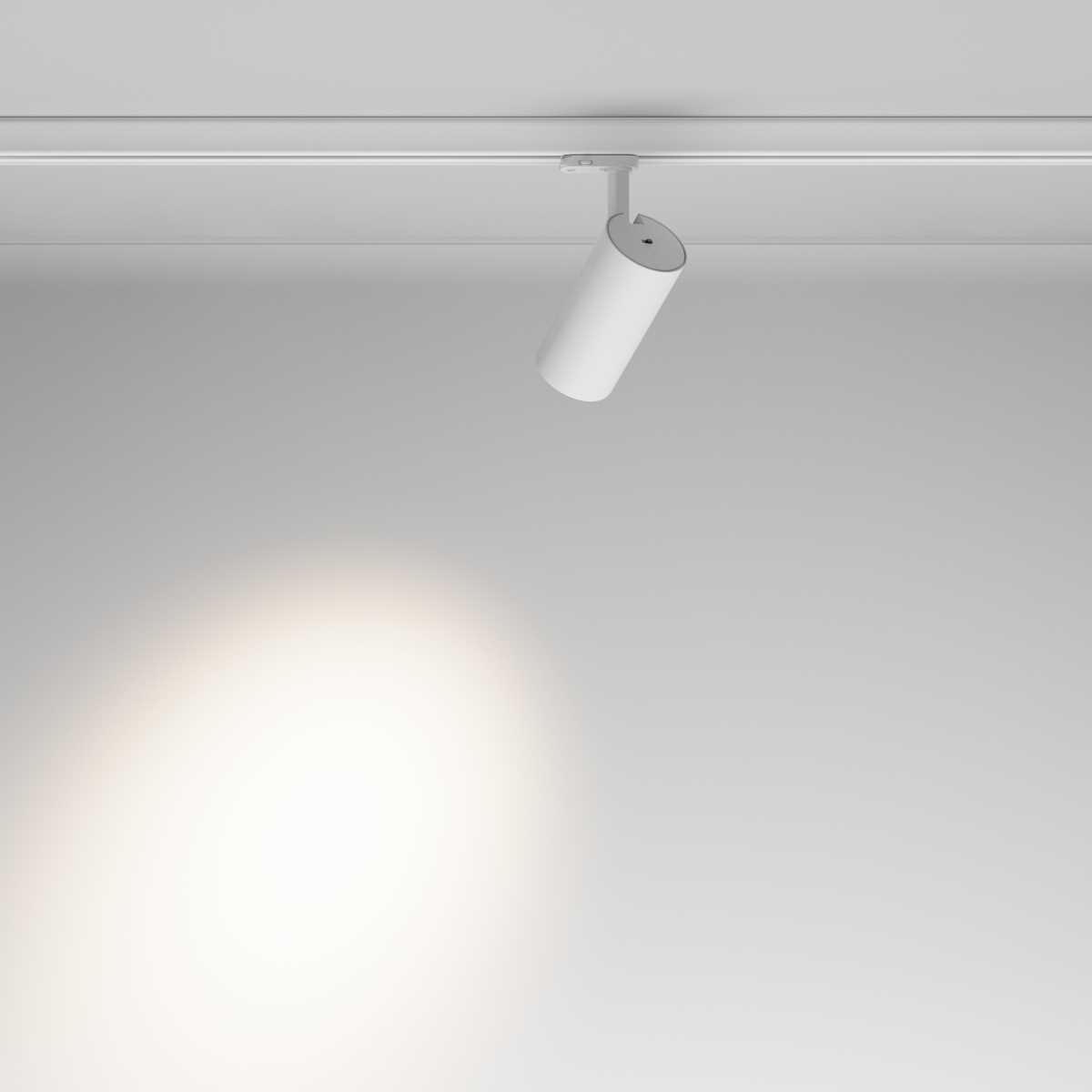 Трековый светодиодный светильник Maytoni Technical Focus Led TR197-3-30WCCT-M-W