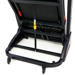 Электрическая беговая дорожка Proxima Rossi