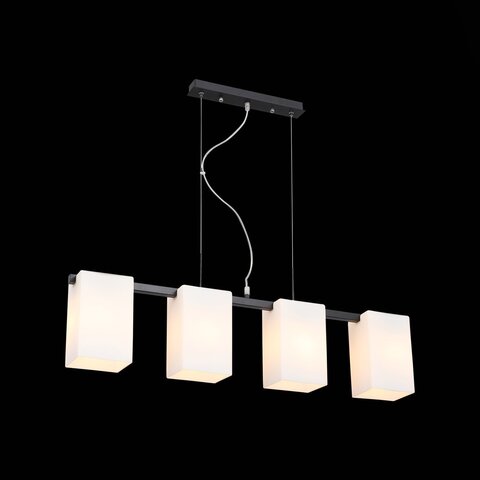 Люстра подвесная ST Luce Caset SL541.403.04
