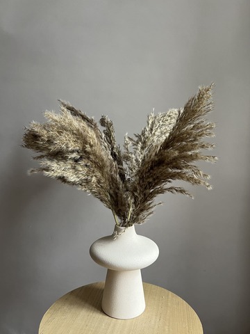 Тростник натуральный