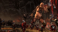 Total War : Warhammer (для ПК, цифровой ключ)