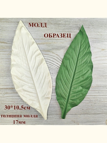 Молд лист 