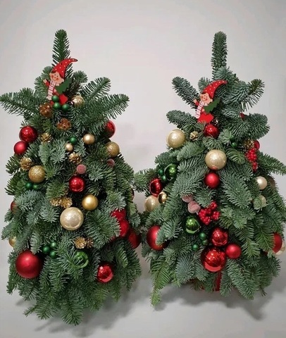 Композиции с нобилисом