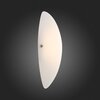 Светильник настенный ST Luce Snello SL508.511.01