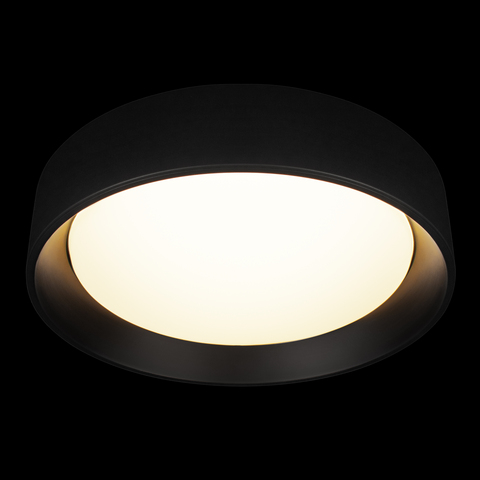 Потолочный светодиодный светильник Loft It Coin 10202 BB