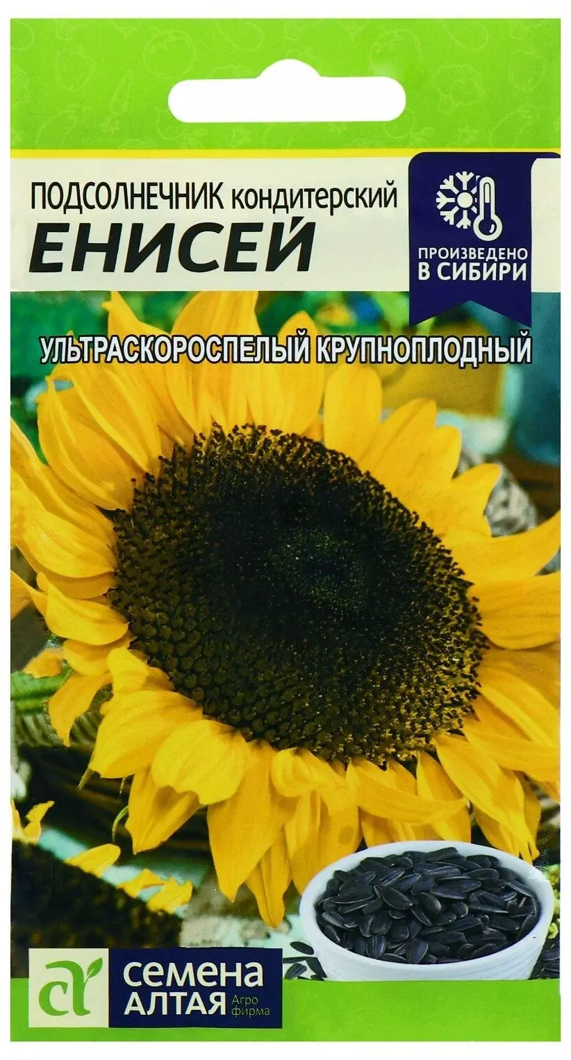 Подсолнечник семена - купить в Дмитрове, Москве и Московской области по  низкой цене