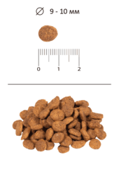 Blitz Adult Cats сухой корм для взрослых кошек (индейка) 400 гр